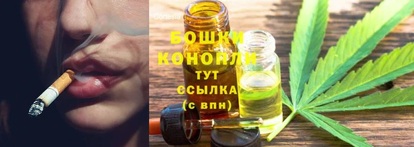 дживик Семилуки
