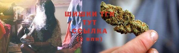 прущие крисы Магас