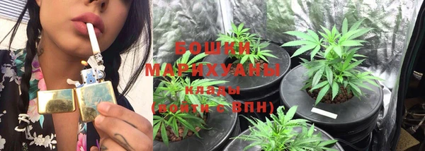 прущие крисы Магас