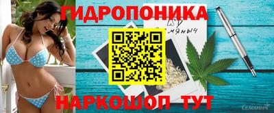 jwh Гай